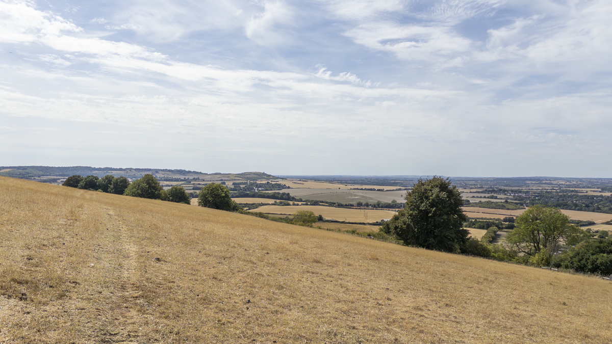 Panoramic view from Dunstable Downs across dry grassland towards the patchwork fields and countryside to the north-west.