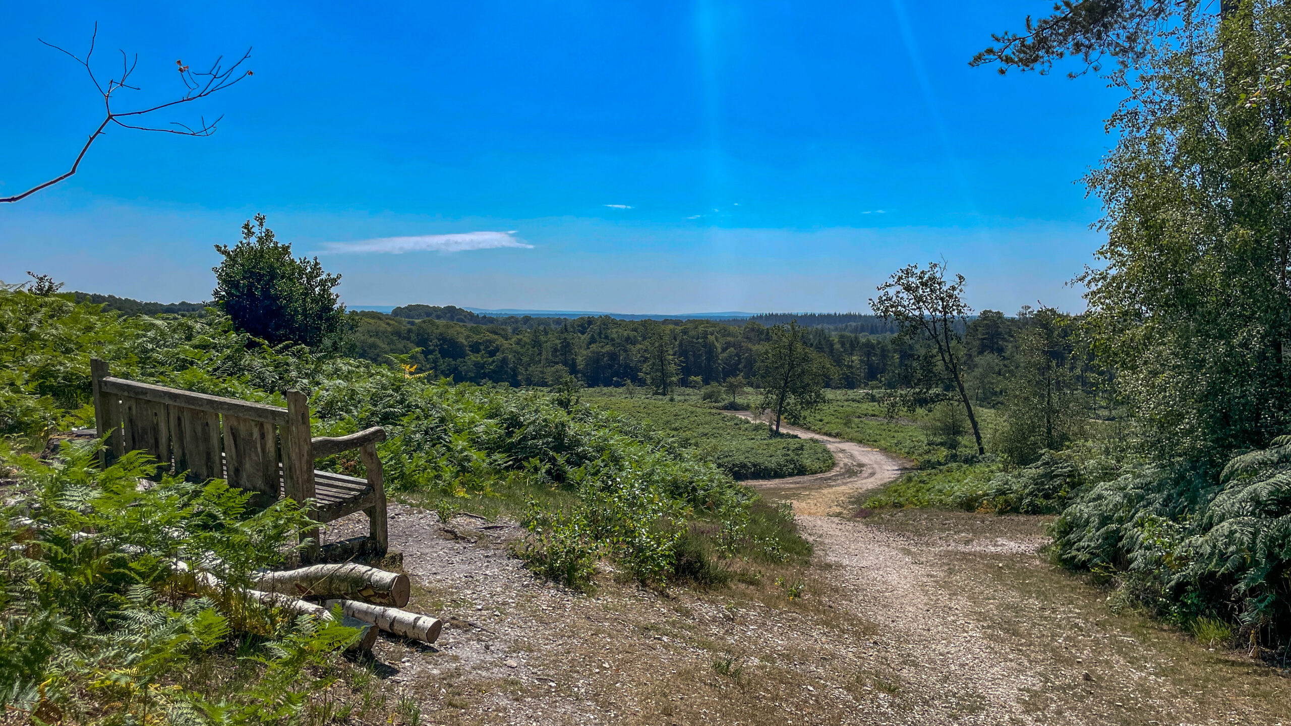 New Forest – Minstead