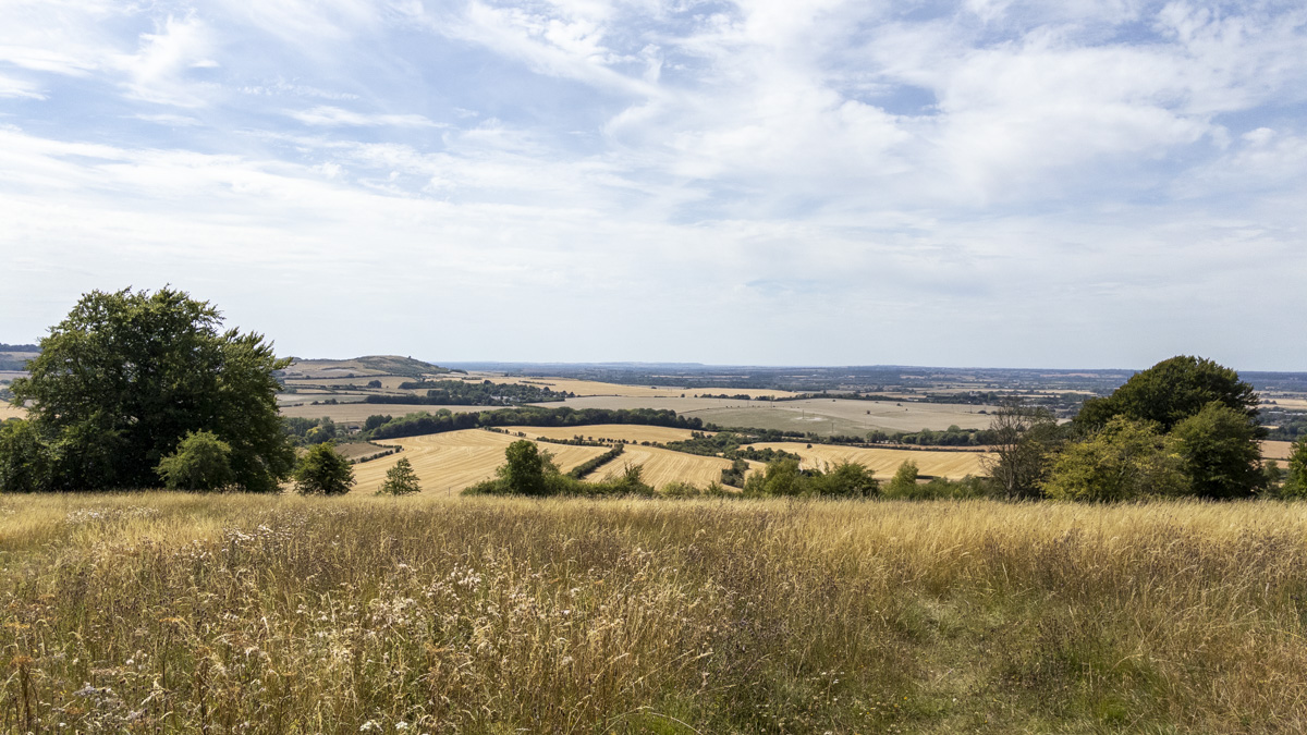 View from the Icknield Way across dry grassland and patchwork fields below Dunstable Downs under a bright summer sky.