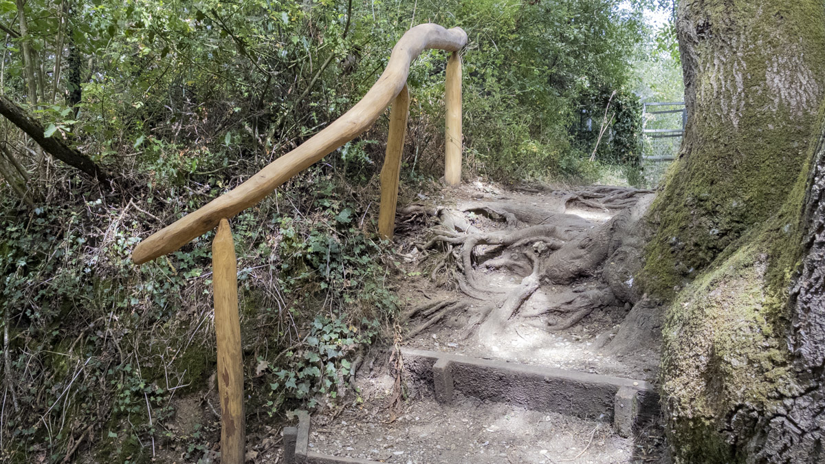 Hand-carved wooden handrail beside a set of root-covered steps leading off the Icknield Way.