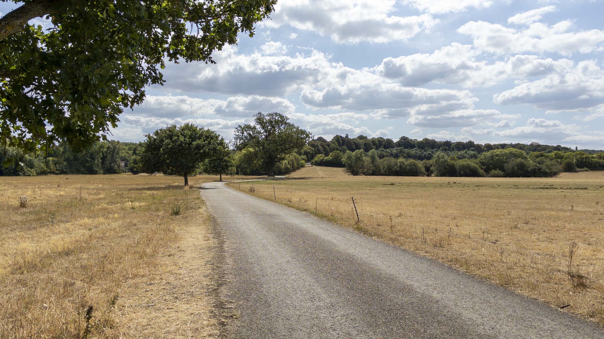 Narrow country lane winding through dry summer fields near Aston, with scattered trees and woodland beneath a partly cloudy sky.