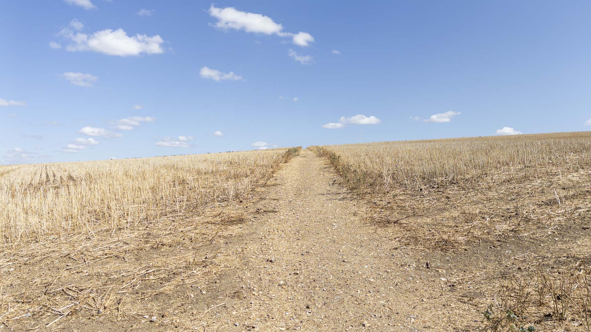 Chiltern Way path climbing gently through a harvested field towards the brow of a hill beneath a bright blue sky.