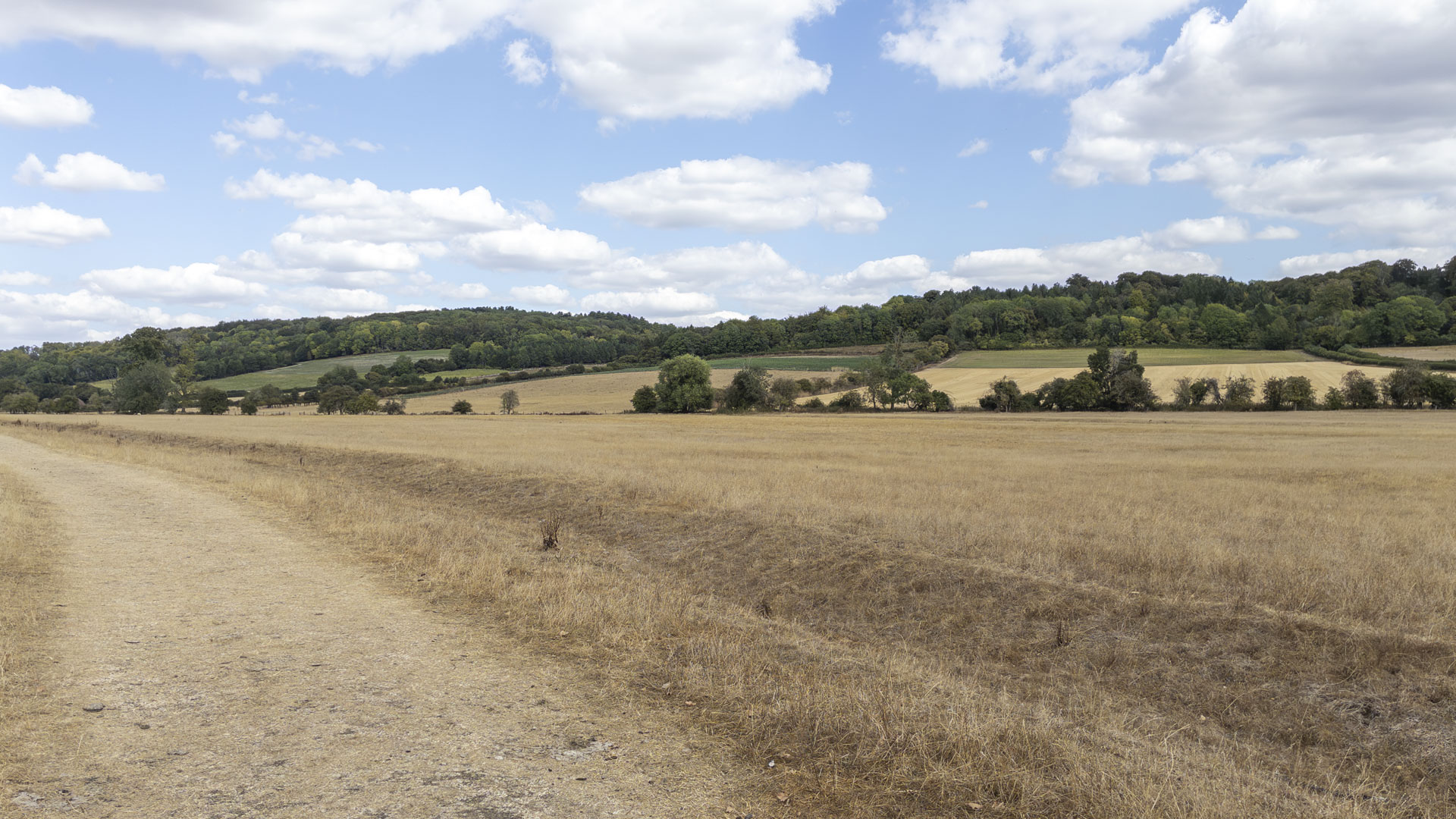Dry grass field and walking track near Hambledon, with rolling farmland and wooded hills under a bright sky with scattered clouds.
