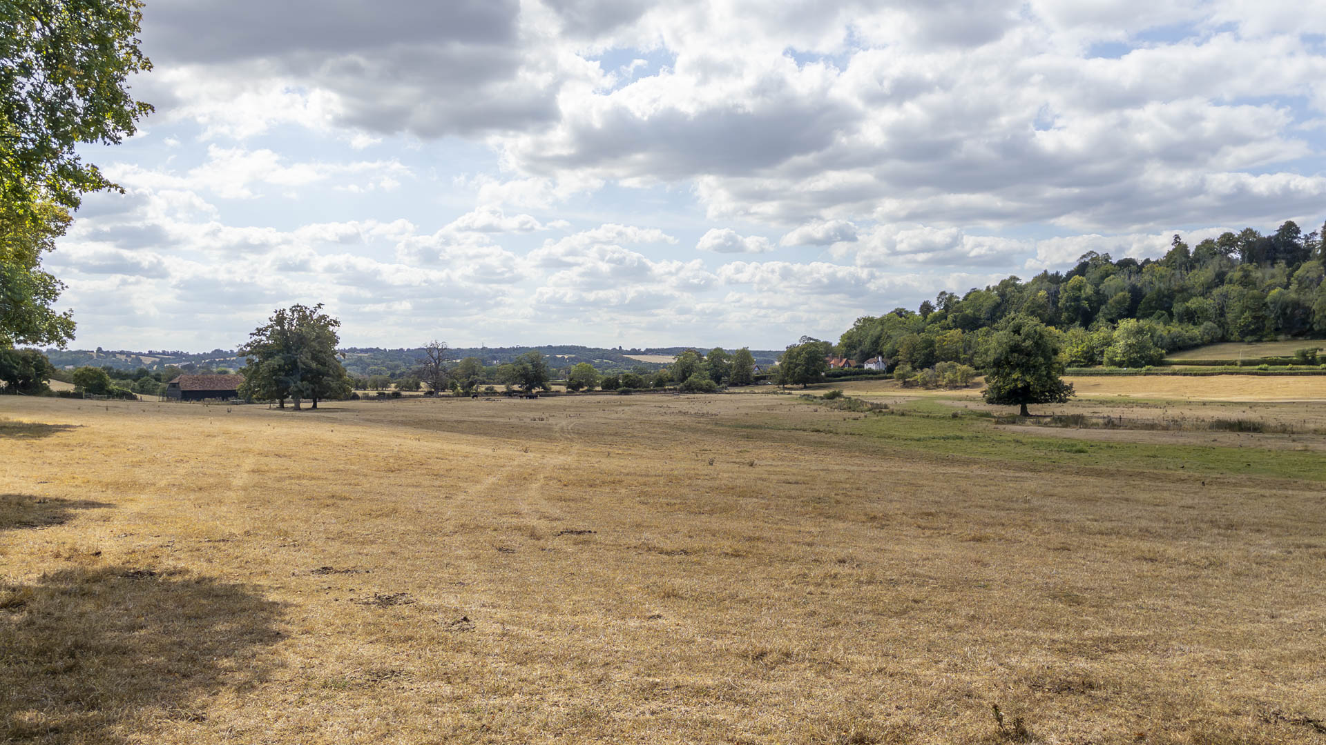 Dry summer fields near Hambledon, with scattered trees, distant houses and wooded hills beneath a partly cloudy sky.