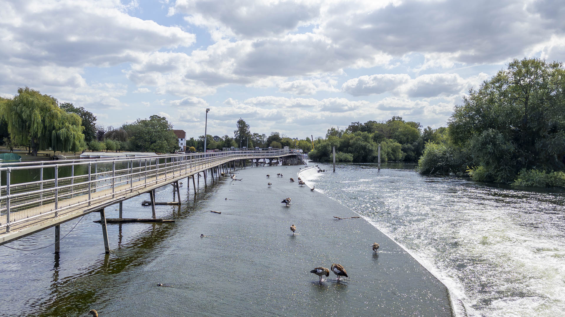 Hambledon Weir with a metal footbridge crossing the River Thames, birds standing on the weir and trees lining the water beneath a partly cloudy sky.