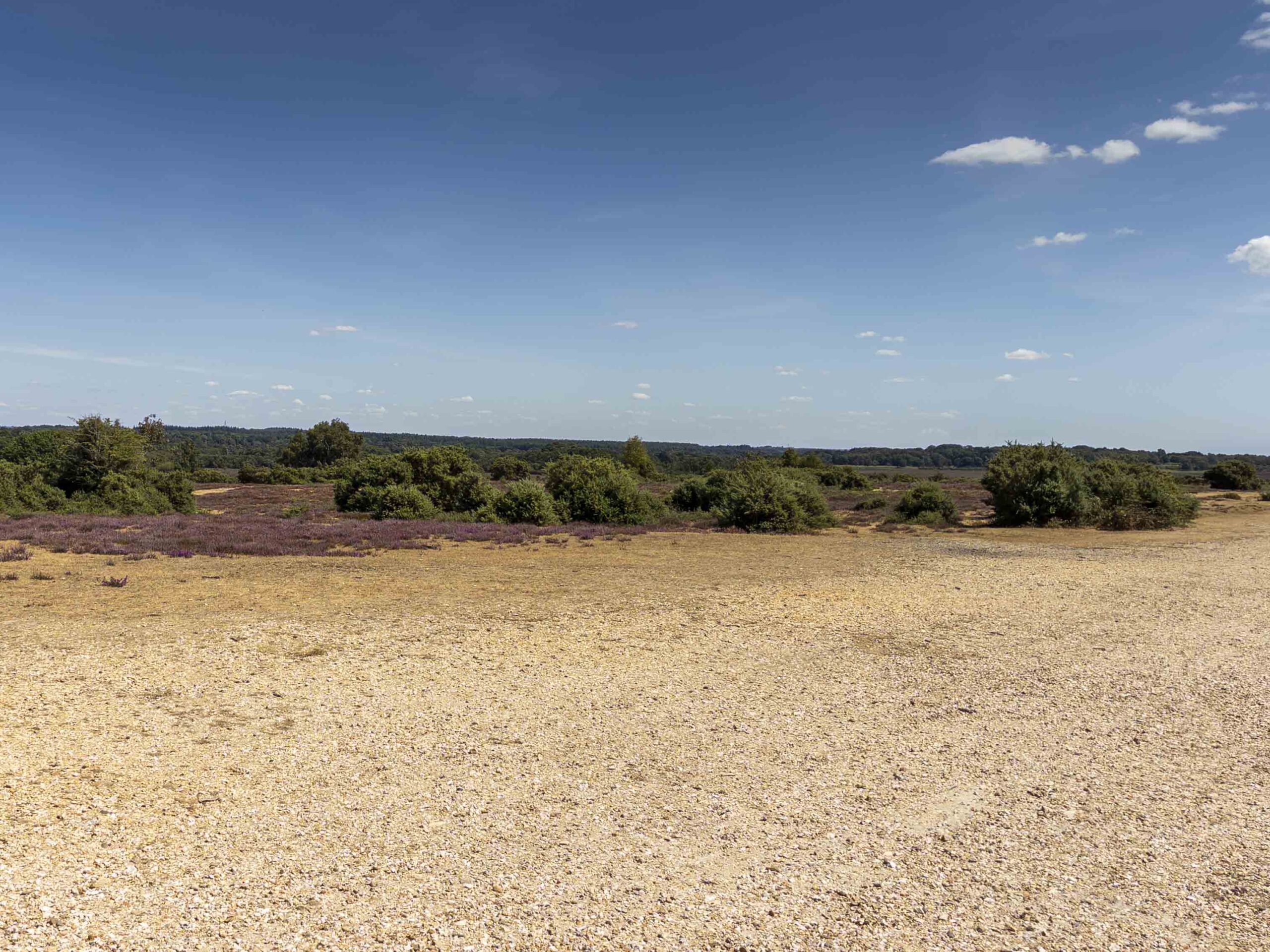 Wide gravel path running between a dry field and dense hedgerow, with trees lining the route near Goring-on-Thames.