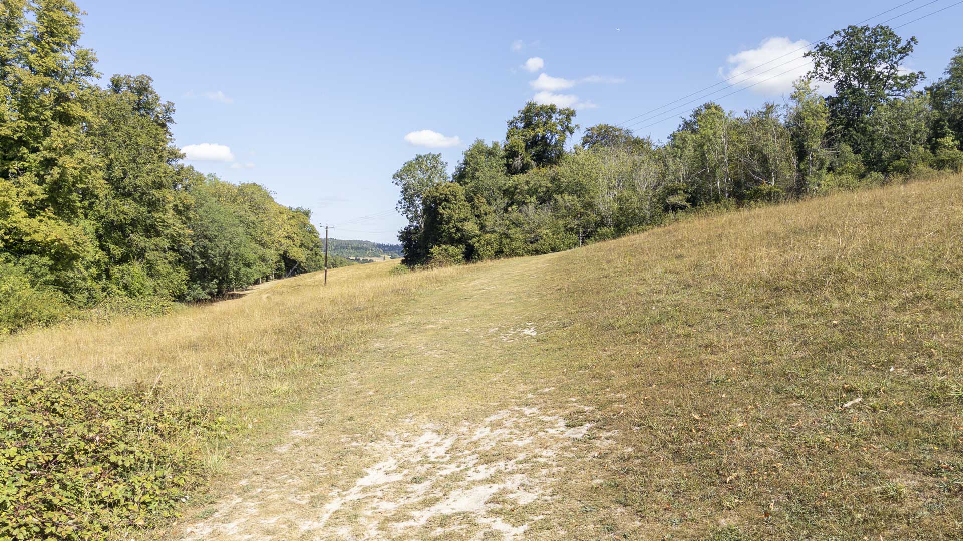 Grassy path through Remenham Woods, bordered by trees and dry grass beneath a clear blue sky.