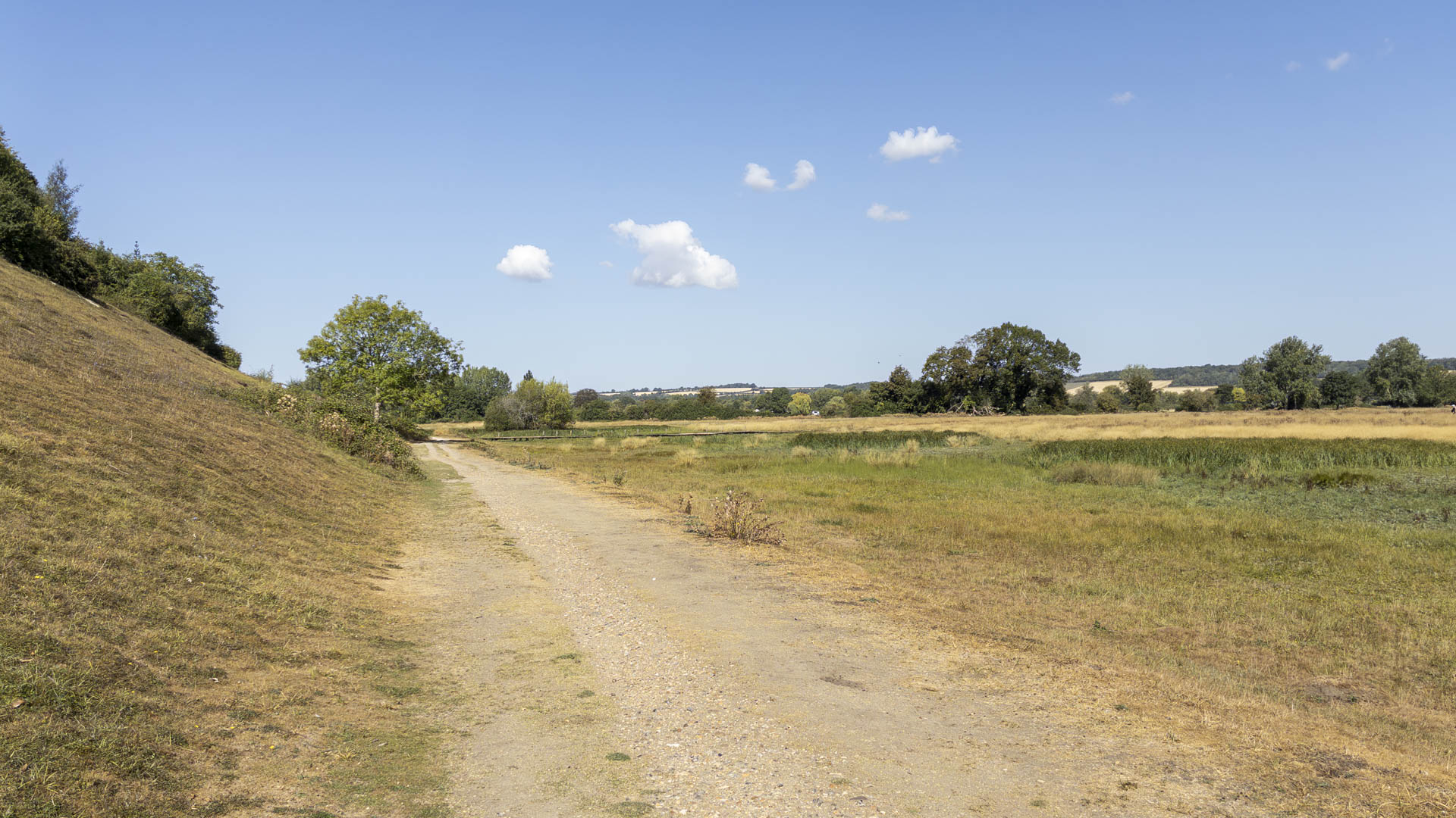 Dry track crossing Cock Marsh beside a steep grassy slope, with reeds, open fields and scattered trees beneath a clear blue sky.
