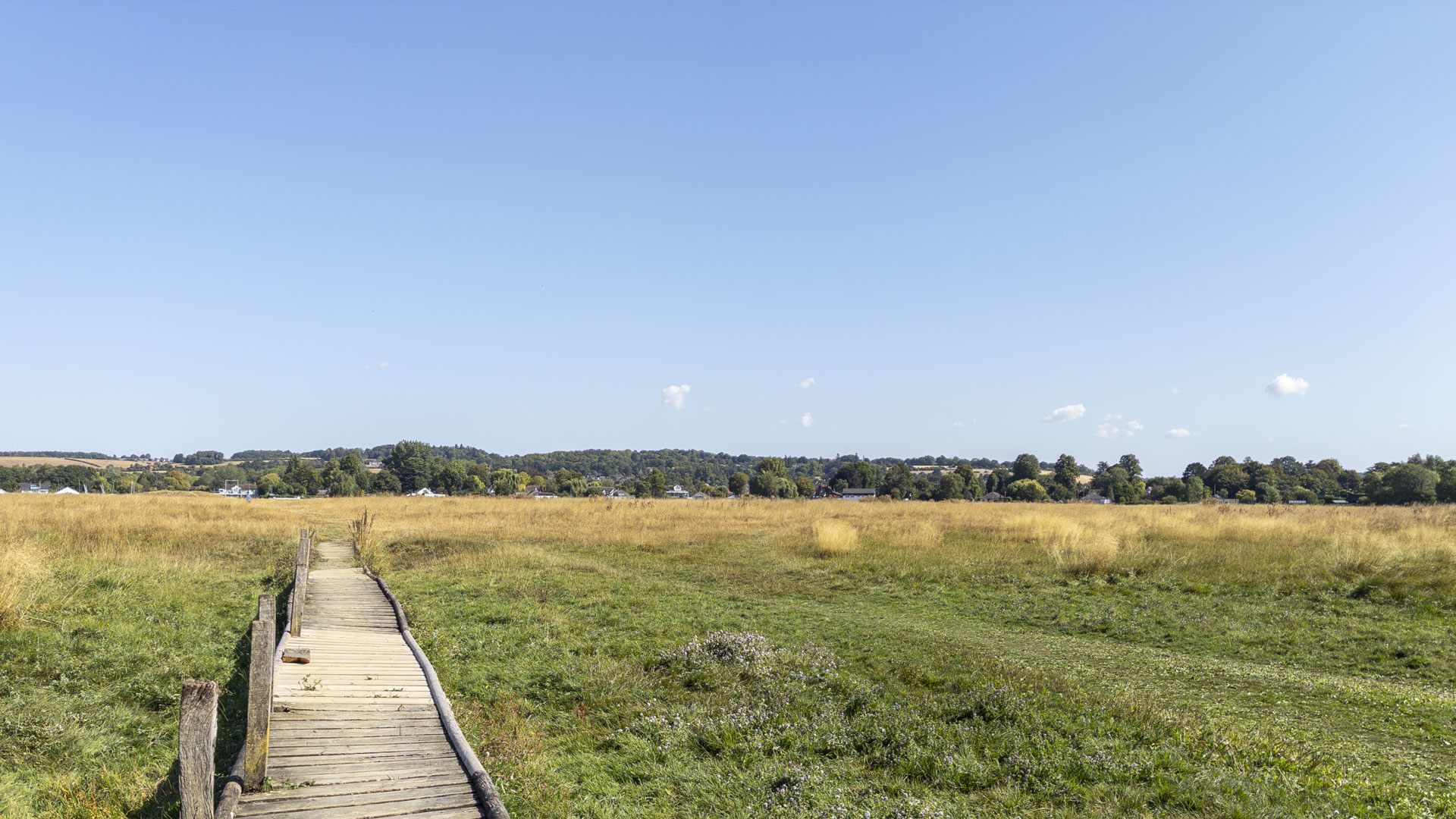 Wooden boardwalk crossing the grassy expanse of Cock Marsh, with Cookham and surrounding trees visible in the distance under a clear blue sky.