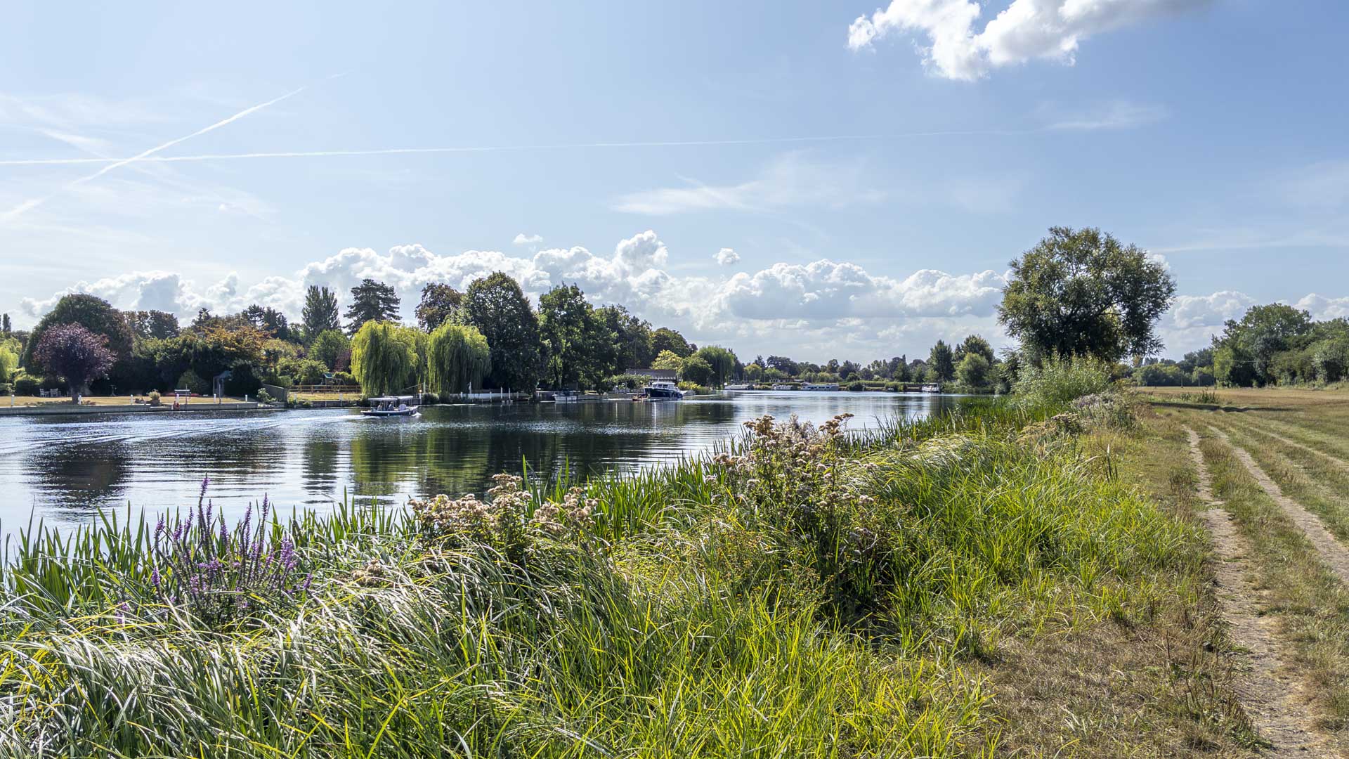 Riverside path beside the River Thames at Cookham, with boats on the water, lush riverbank vegetation and trees lining the opposite bank under a bright summer sky.