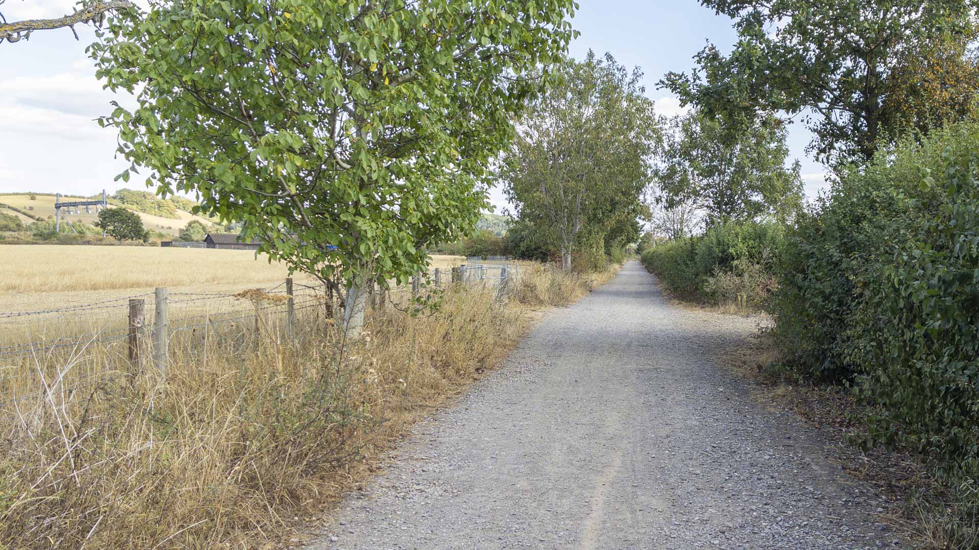 Wide gravel path running between a dry field and dense hedgerow, with trees lining the route near Goring-on-Thames.
