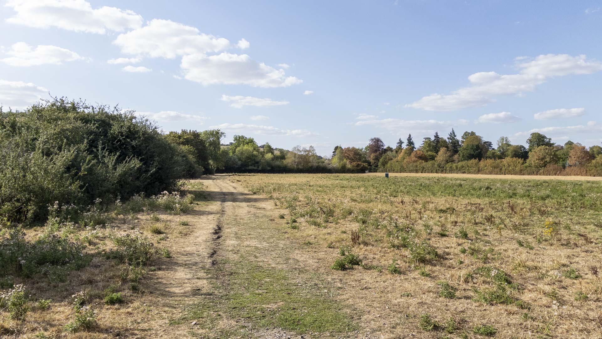 Dry grassy track crossing an open field, bordered by hedgerows and trees beneath a bright blue sky near Goring-on-Thames.