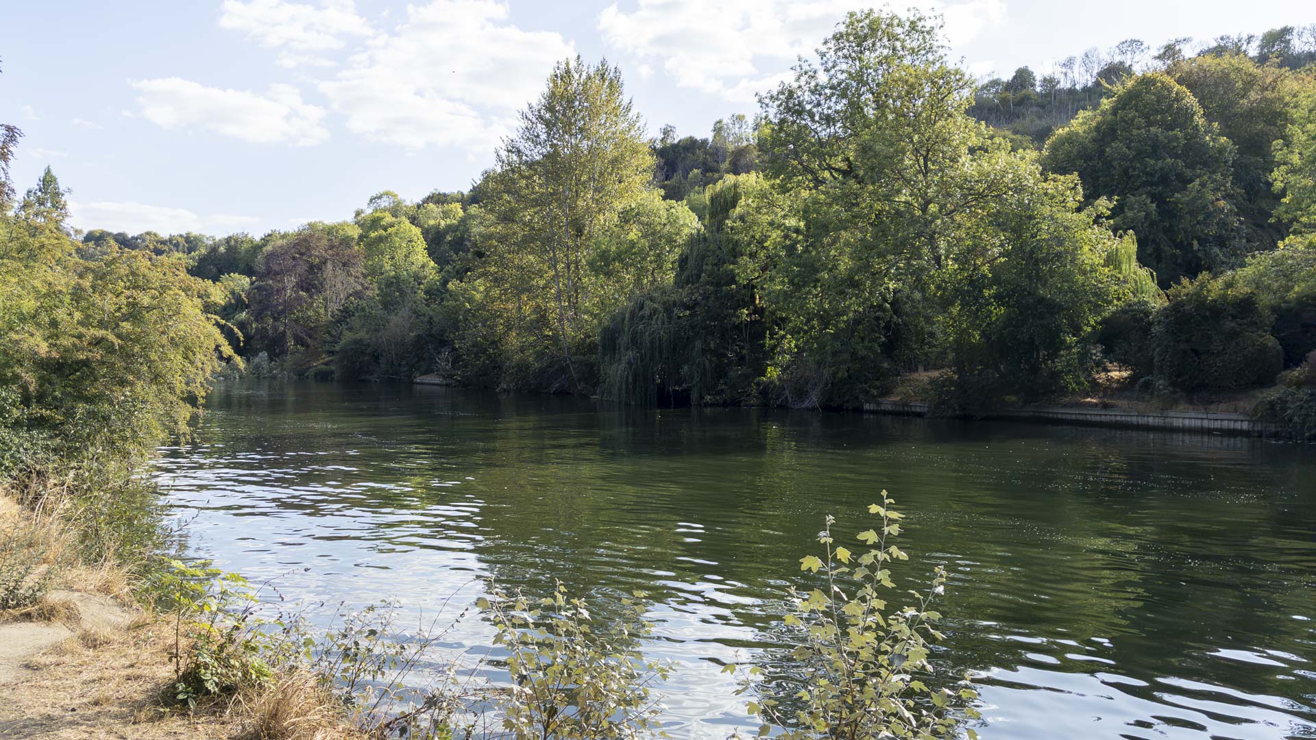 River Thames at Goring, bordered by dense green trees and woodland under a bright sky.