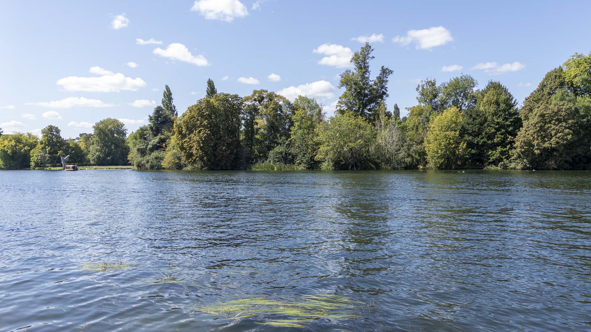 River Thames at Henley, with rippling blue water and a tree-lined bank beneath a bright, partly cloudy sky.
