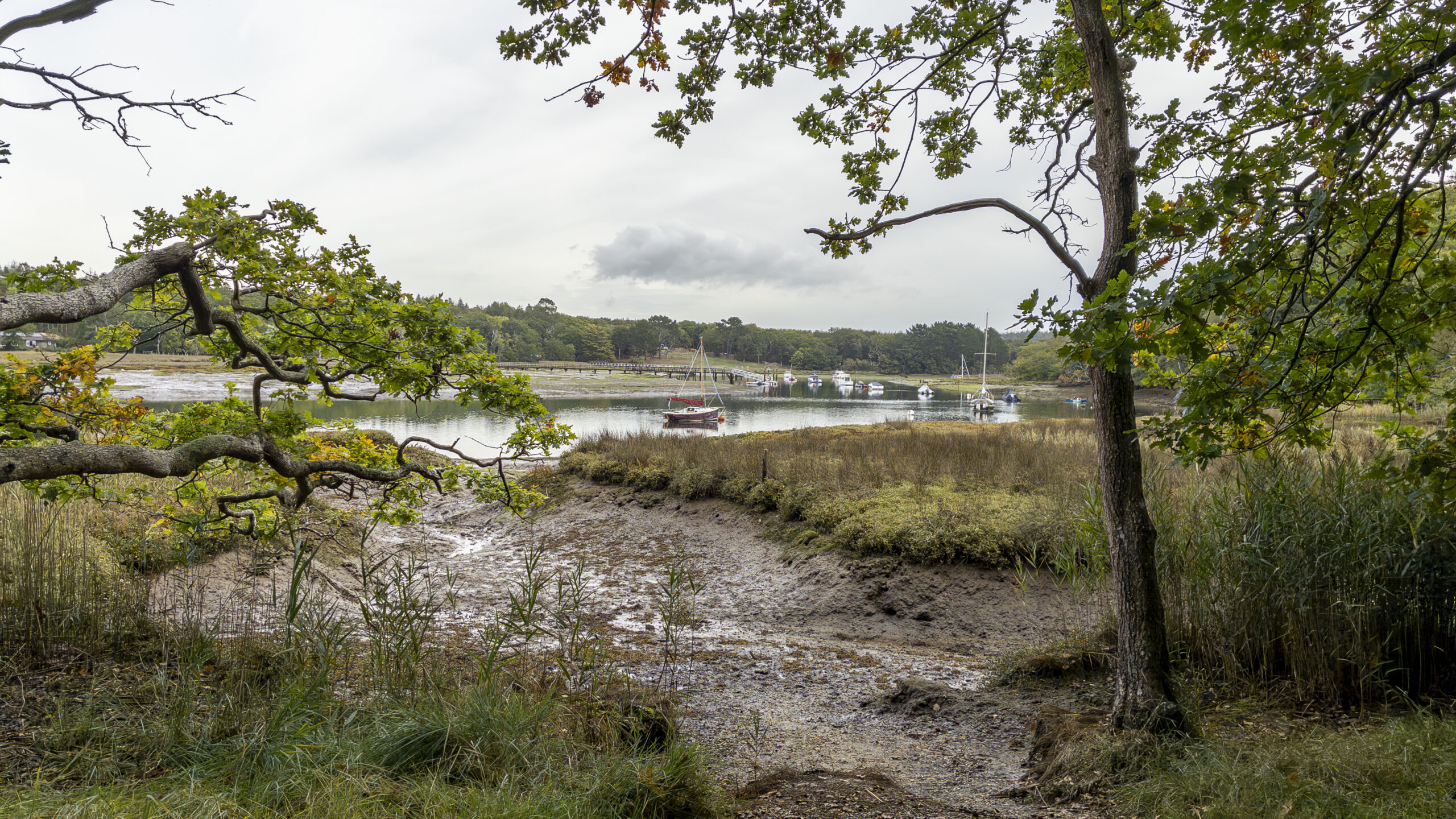 View across the muddy banks and saltmarsh vegetation of the Beaulieu River estuary, framed by oak trees, with moored boats on the water beyond