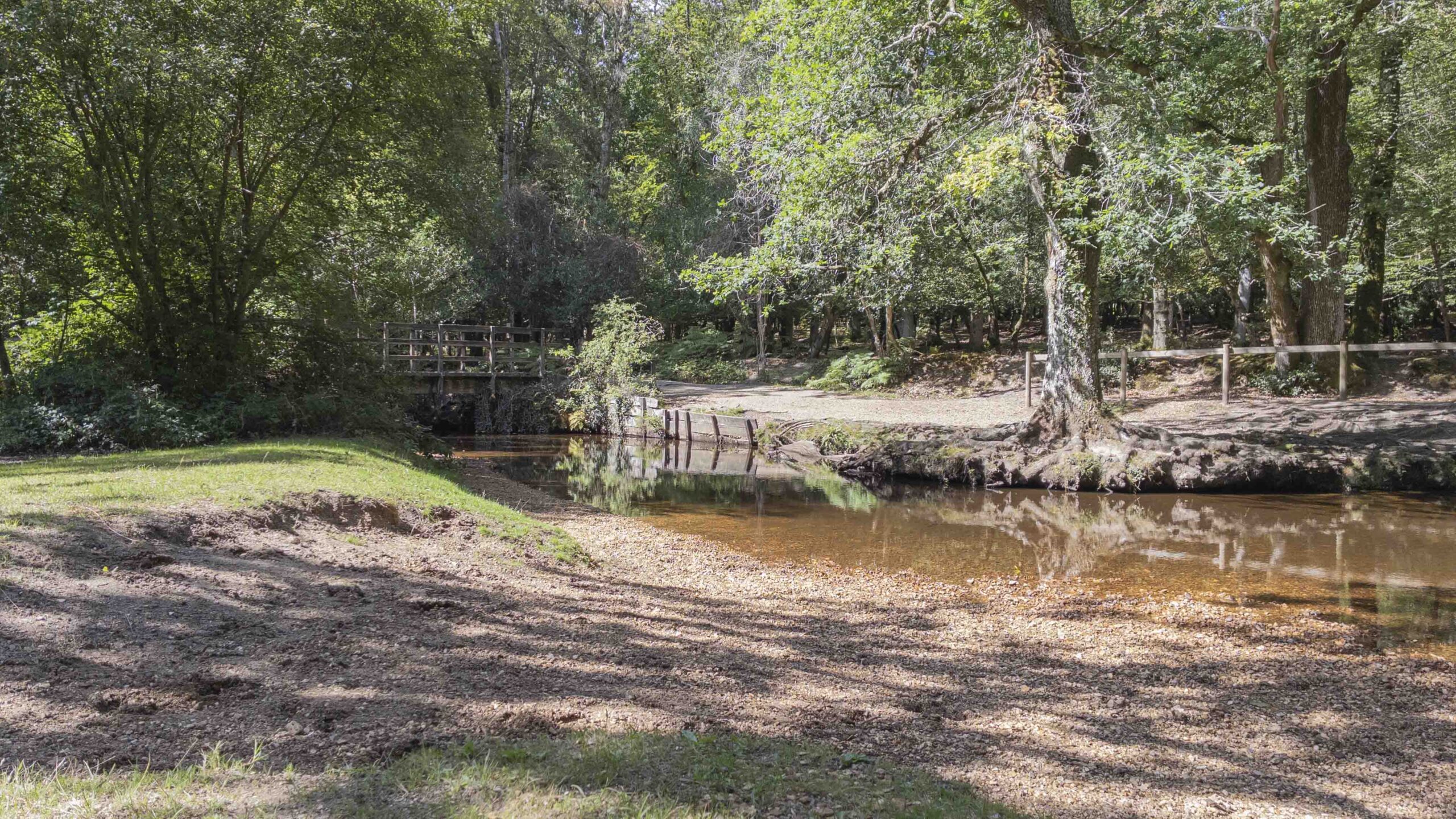 Woodland stream crossing on the Brockenhurst walk, showing a small footbridge over calm water surrounded by trees and New Forest woodland